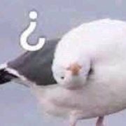 c99476bely8g5jrtk7p28j20ij0ijdgb