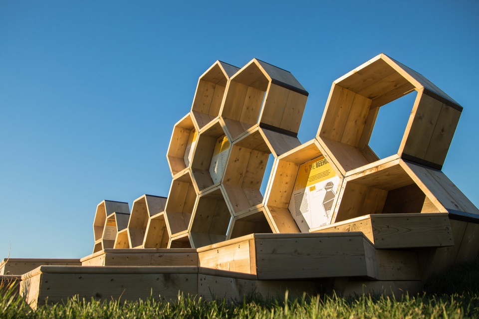 蜂巢建筑设计理念图片