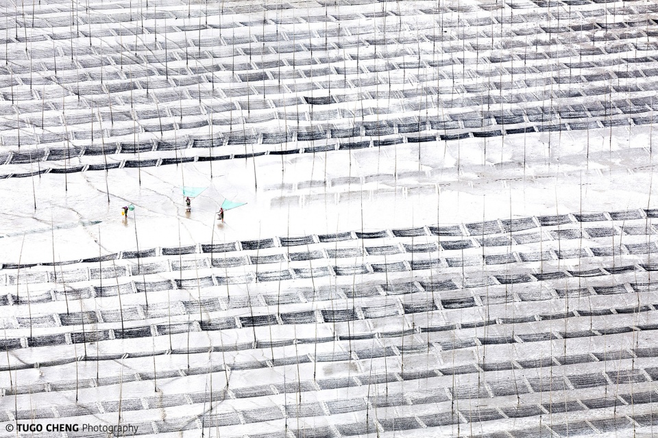 exhibition water earth by tugo cheng