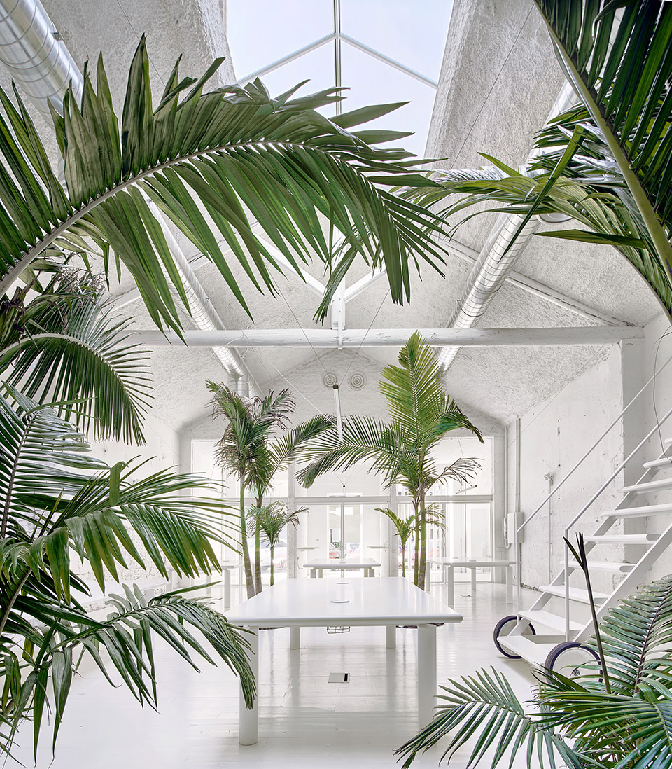 acid house barcelona by arquitectura g