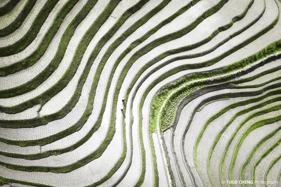 exhibition water earth by tugo cheng