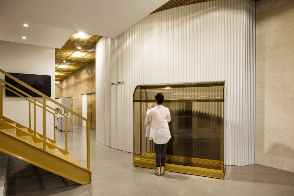 go orthodontistes downtown flagship by natasha thorpe design