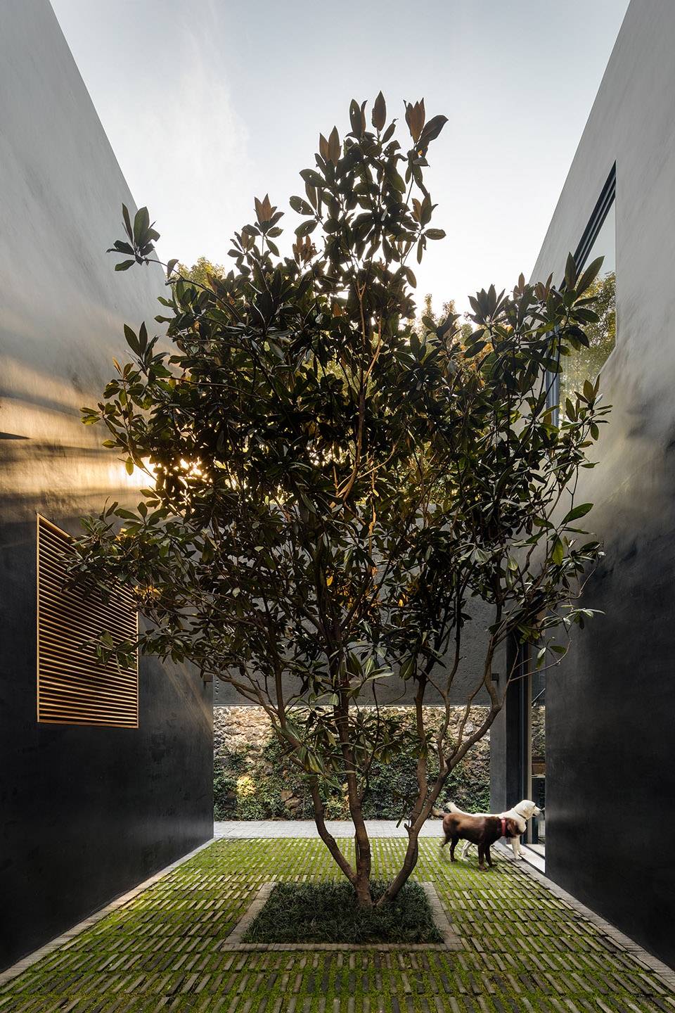 lluvia house by ppaa.jpg
