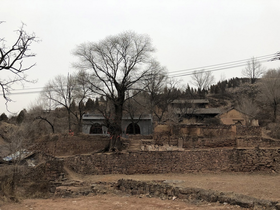 threshing ground under the big locust tree china by 3andwich deisgn hewei studio
