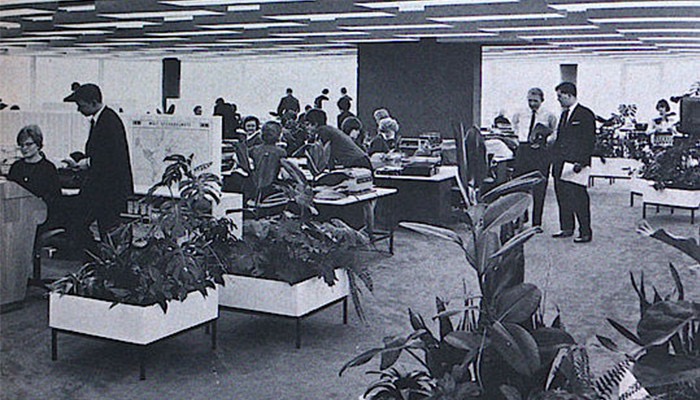 office development