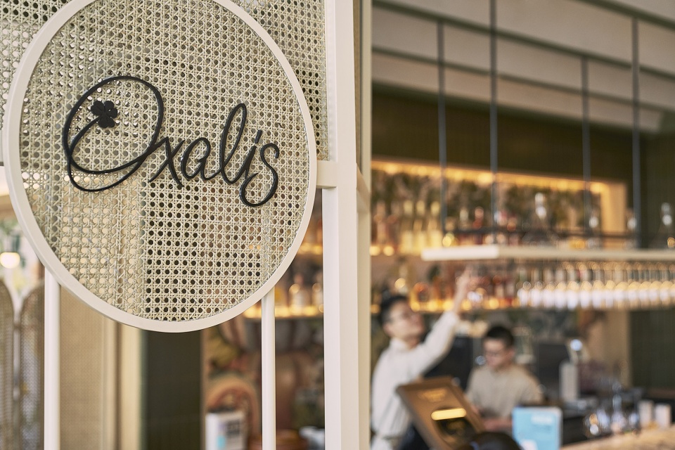 oxalis restaurant china by so studio
