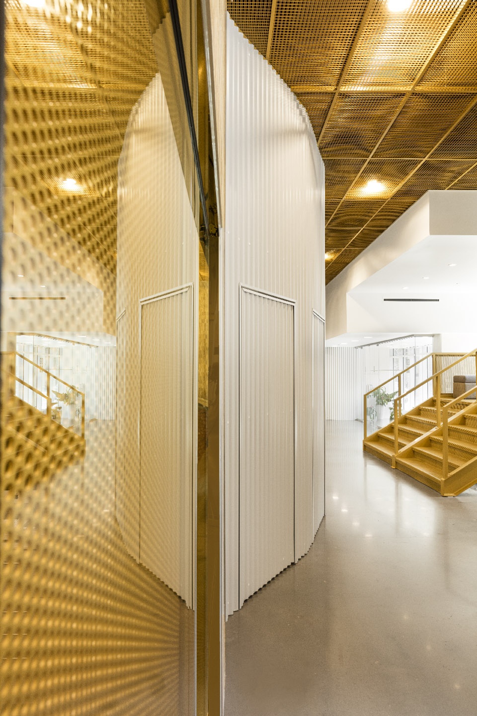 go orthodontistes downtown flagship by natasha thorpe design