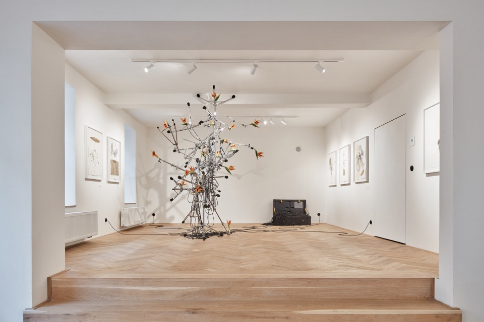 gap gallery and space by ora