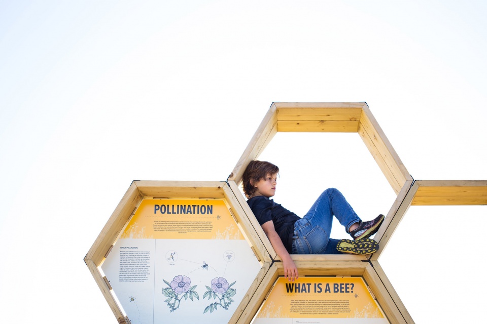 Urban Beehive Project by Nine Yards Studio