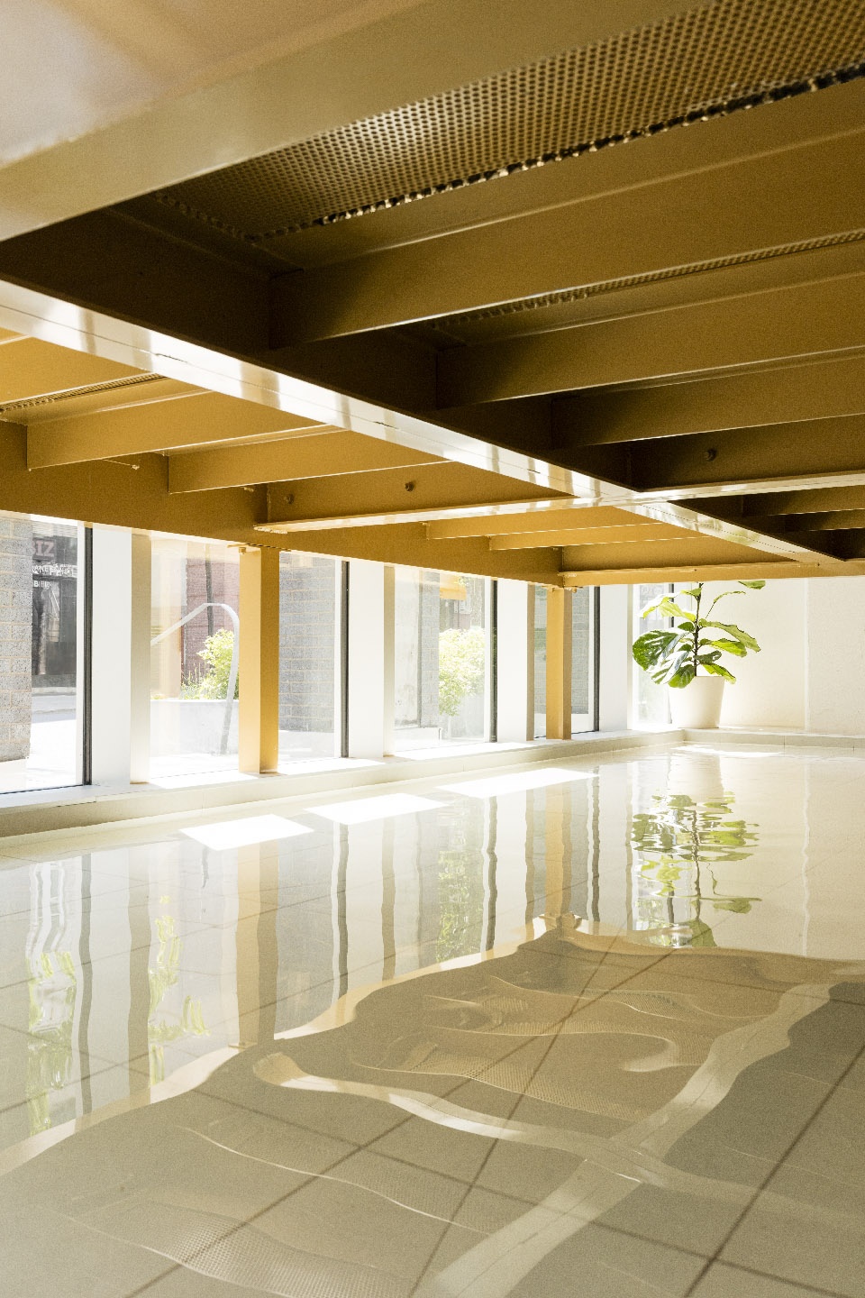 go orthodontistes downtown flagship by natasha thorpe design