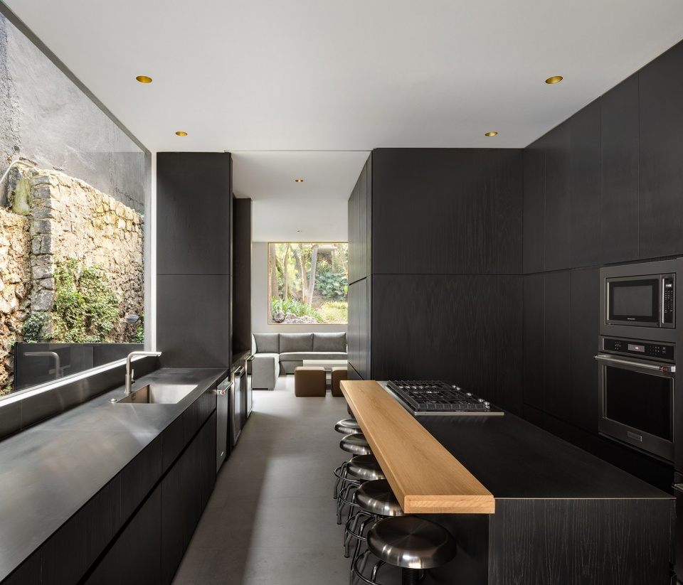 lluvia house by ppaa.jpg