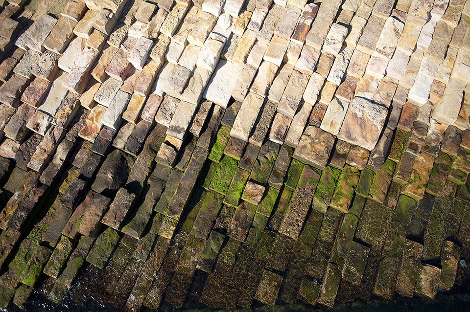 2019 asla general design award of honor barangaroo reserve pwp landscape architecture