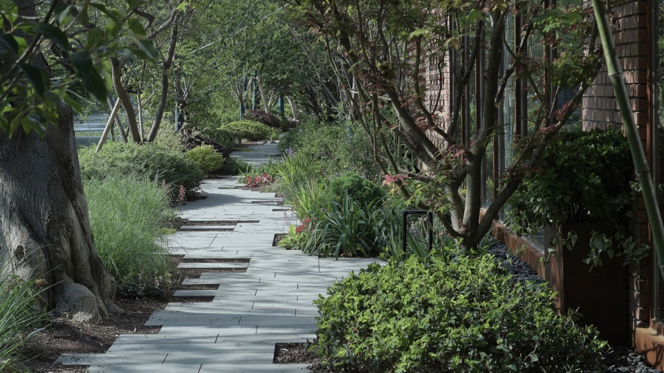 renovation project of huayu study of ecnu china by lacime landscaping