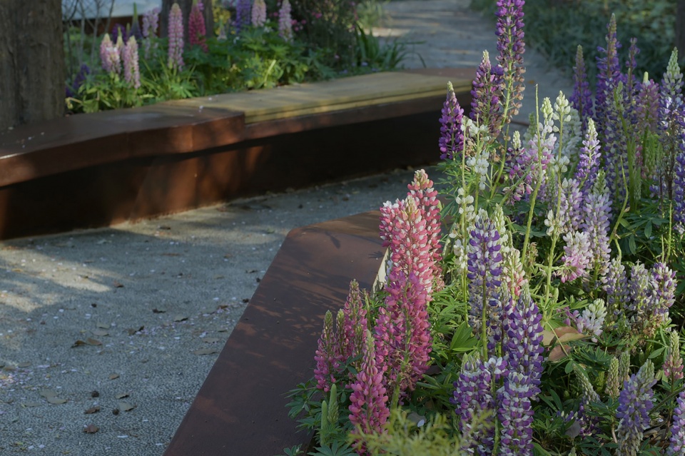 renovation project of huayu study of ecnu china by lacime landscaping