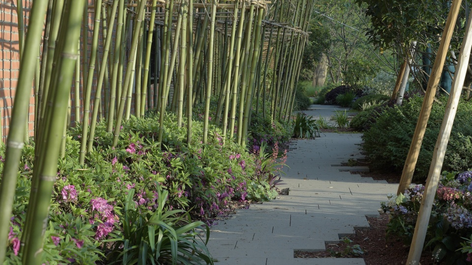 renovation project of huayu study of ecnu china by lacime landscaping