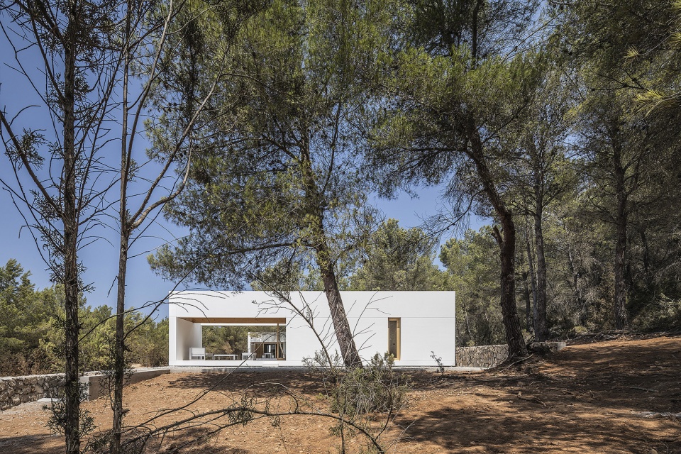 CA L AMO IBIZA
