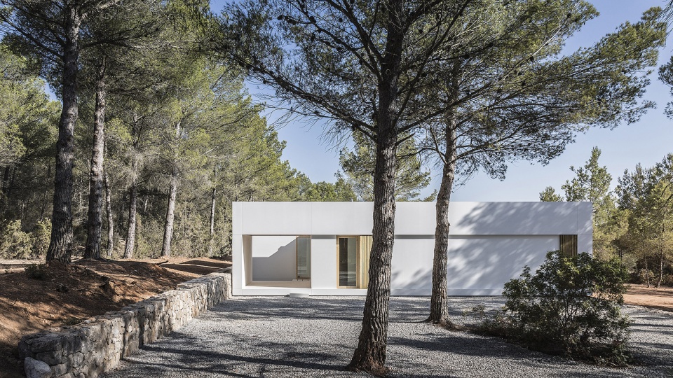 CA L AMO IBIZA