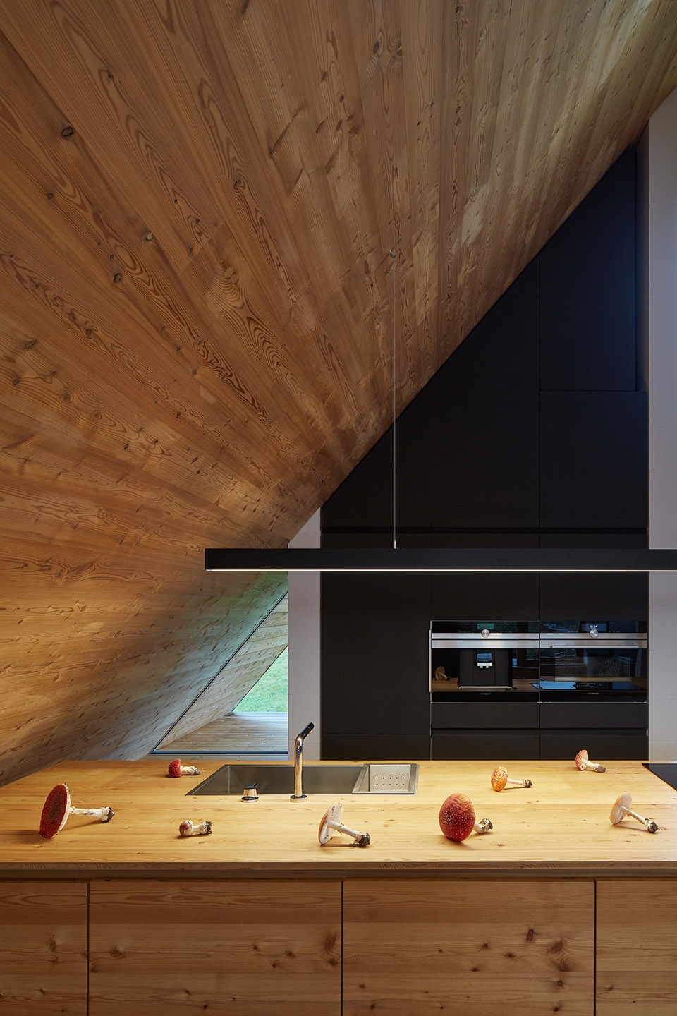 weekend house in beskydy by pavel micek architects