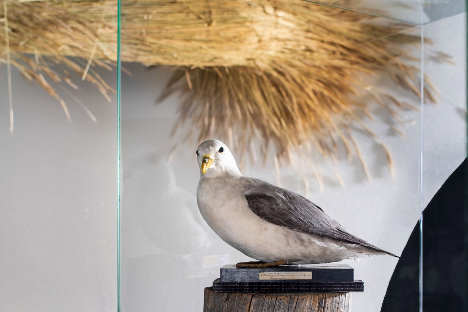 museea design large scale immersive exhibition at nordic museum