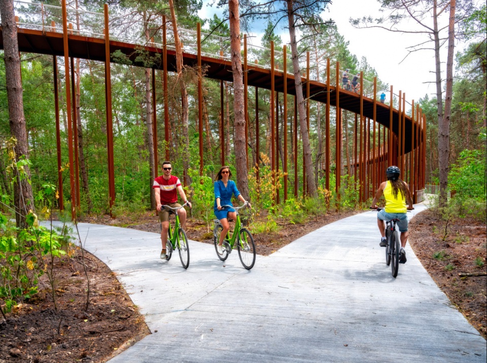 Cycling through the Trees by Burolandschap 1