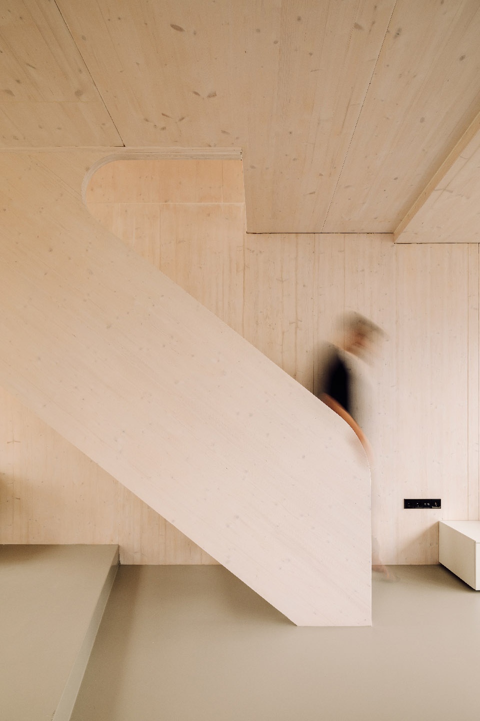 freebooter biophilic house by gg loop