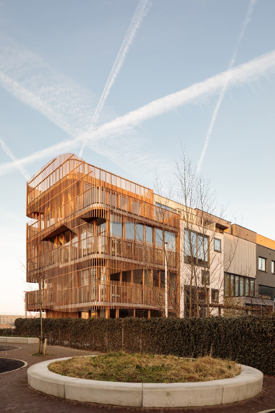 freebooter biophilic house by gg loop