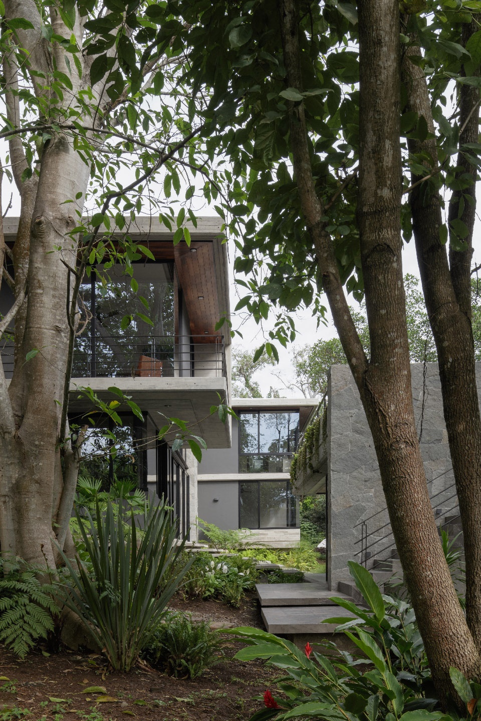 casa entreparotas by di frenna arquitectos