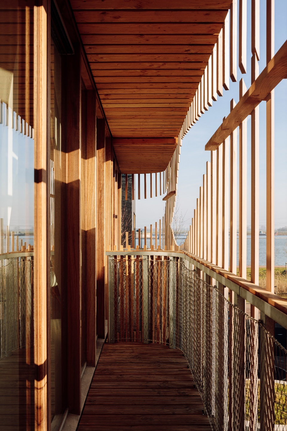 freebooter biophilic house by gg loop