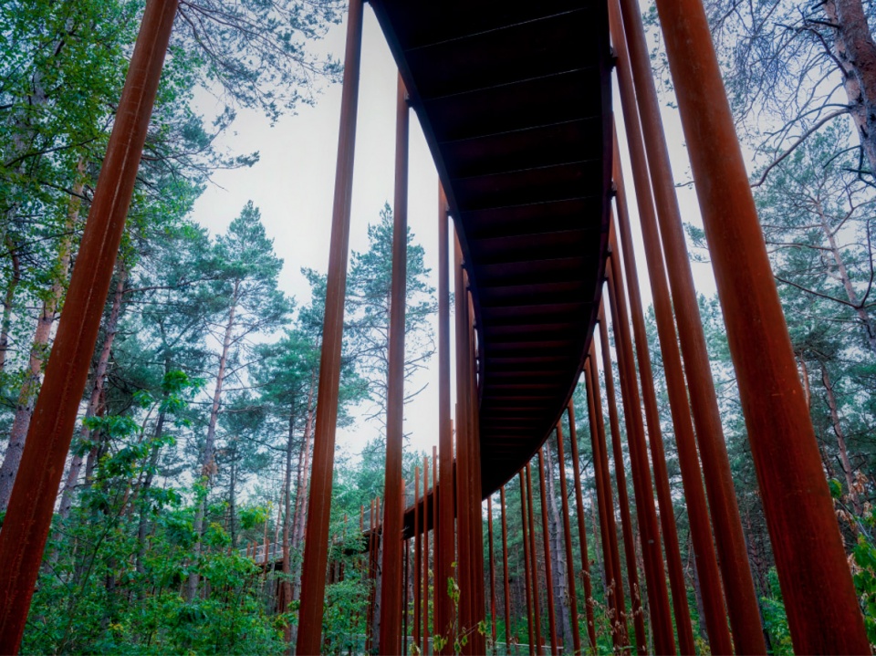 Cycling through the Trees by Burolandschap 1