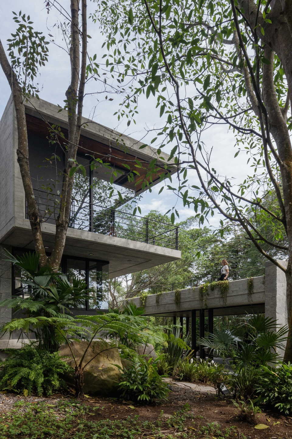 casa entreparotas by di frenna arquitectos