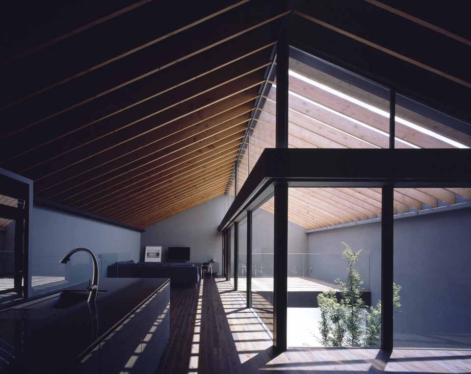 Leaf House by Apollo