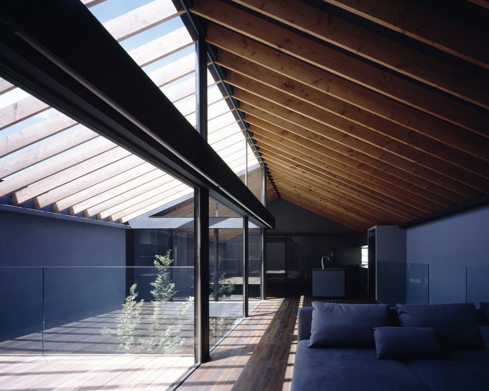 Leaf House by Apollo