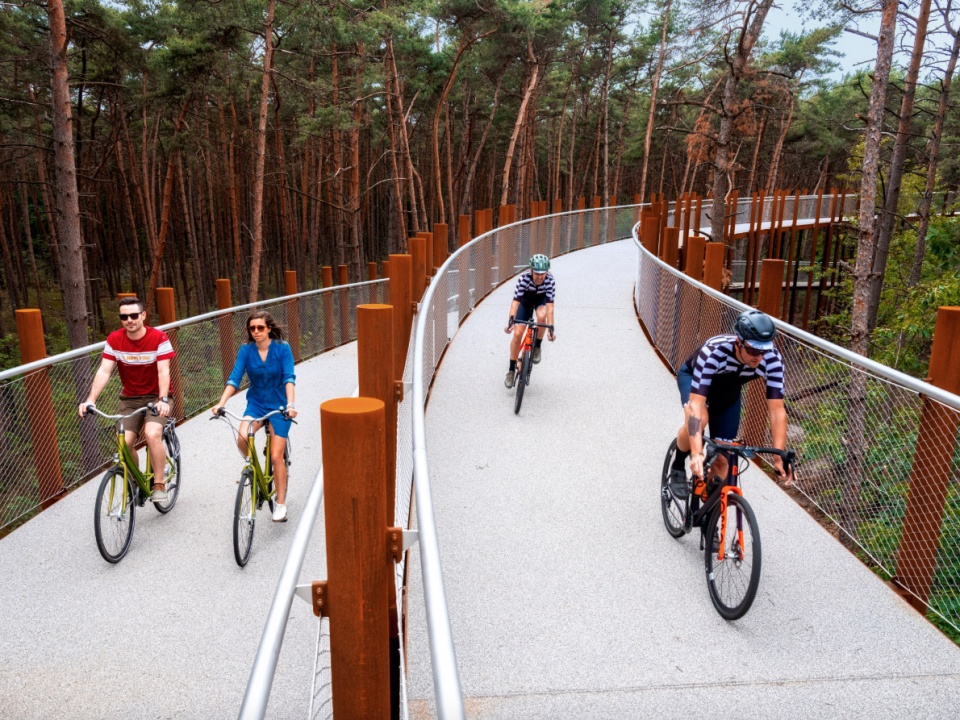 Cycling through the Trees by Burolandschap 1