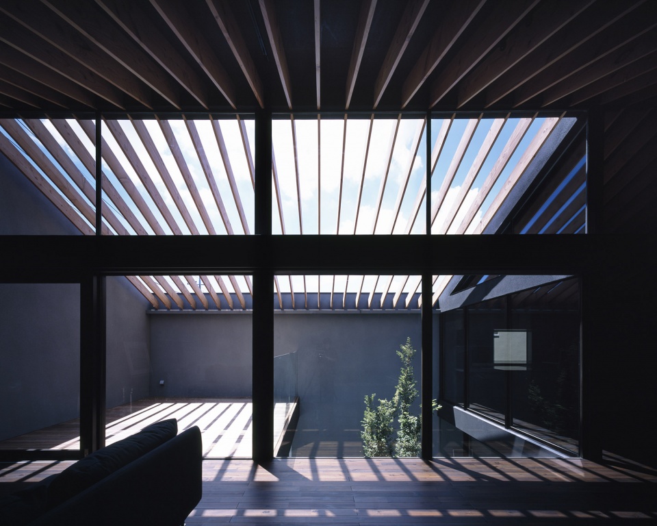 Leaf House by Apollo