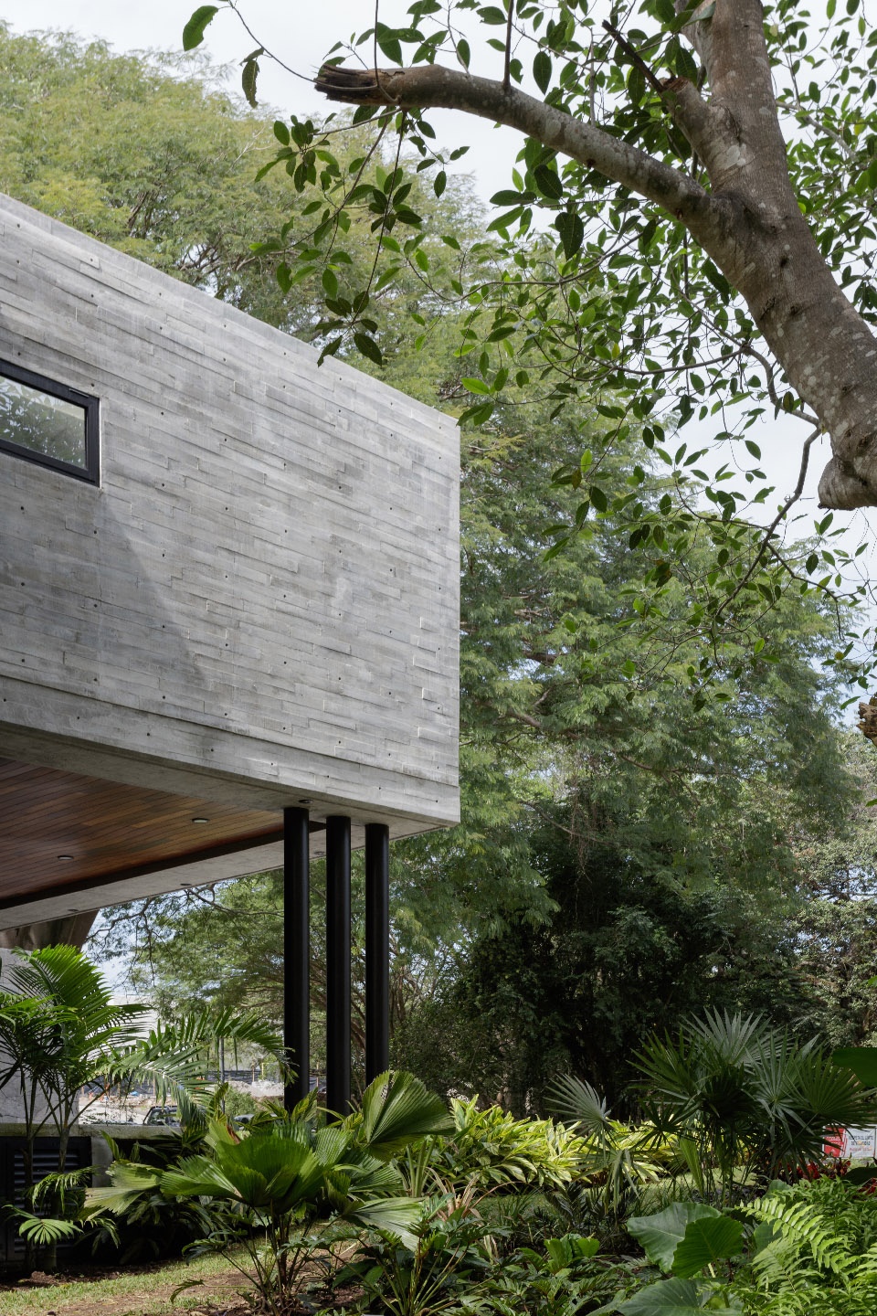 casa entreparotas by di frenna arquitectos