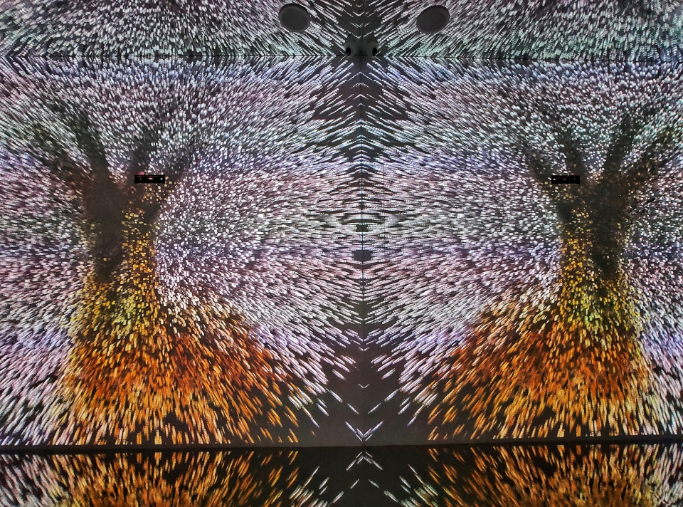 mandalas pop up digital art museum china by one take architects