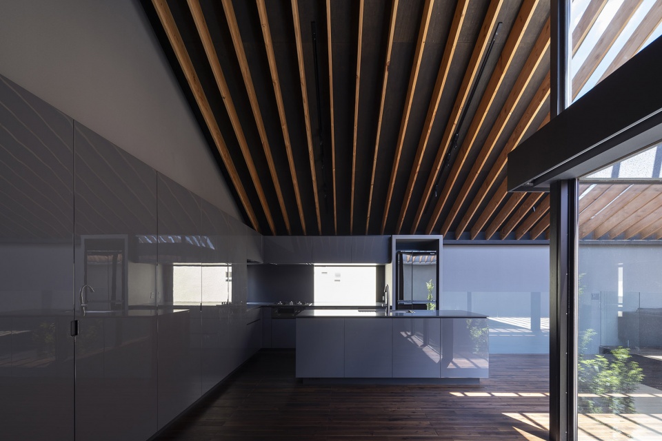 Leaf House by Apollo