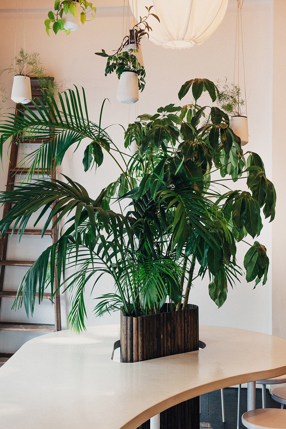 kokomo chinatown by september architecture and interiors