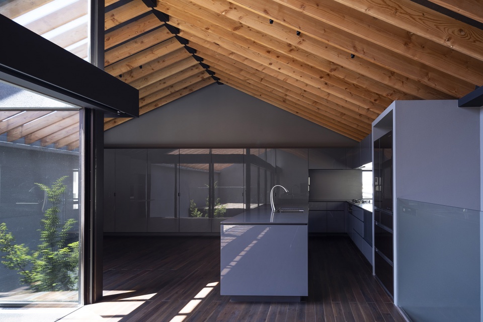 Leaf House by Apollo