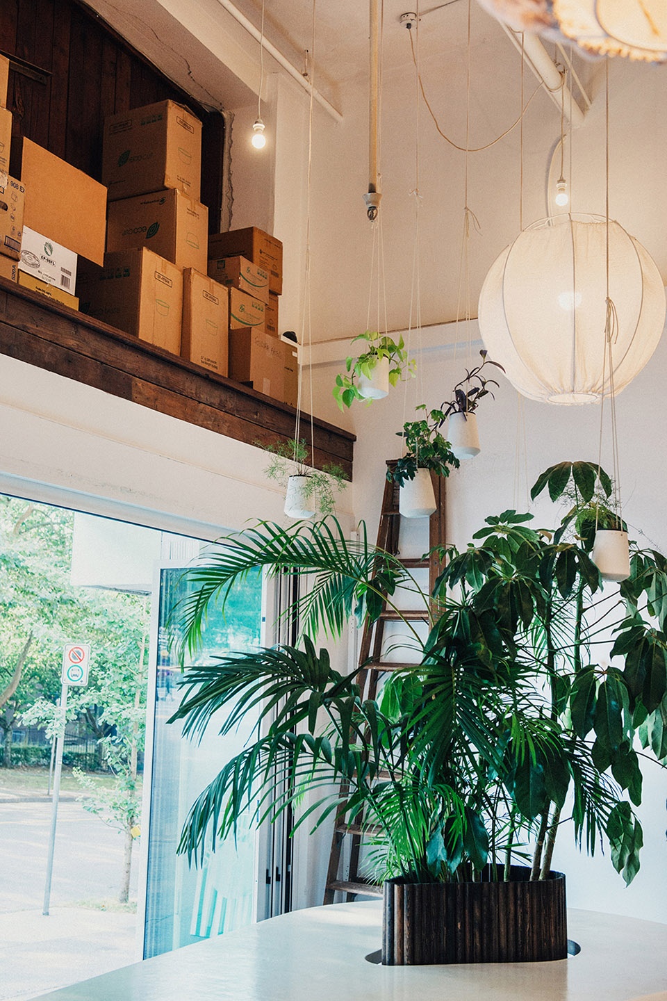 kokomo chinatown by september architecture and interiors