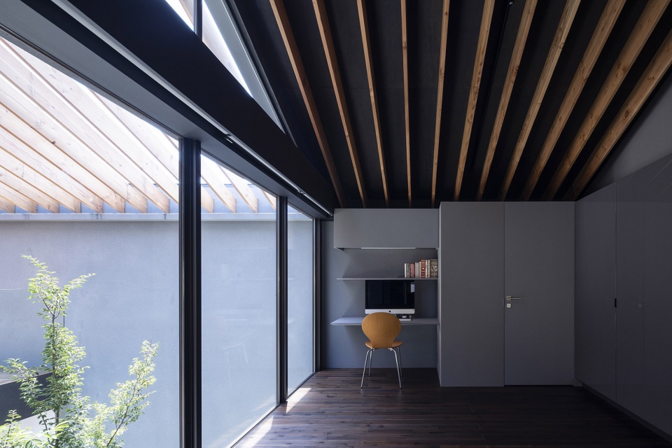 Leaf House by Apollo