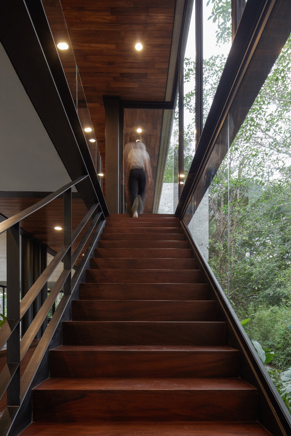casa entreparotas by di frenna arquitectos