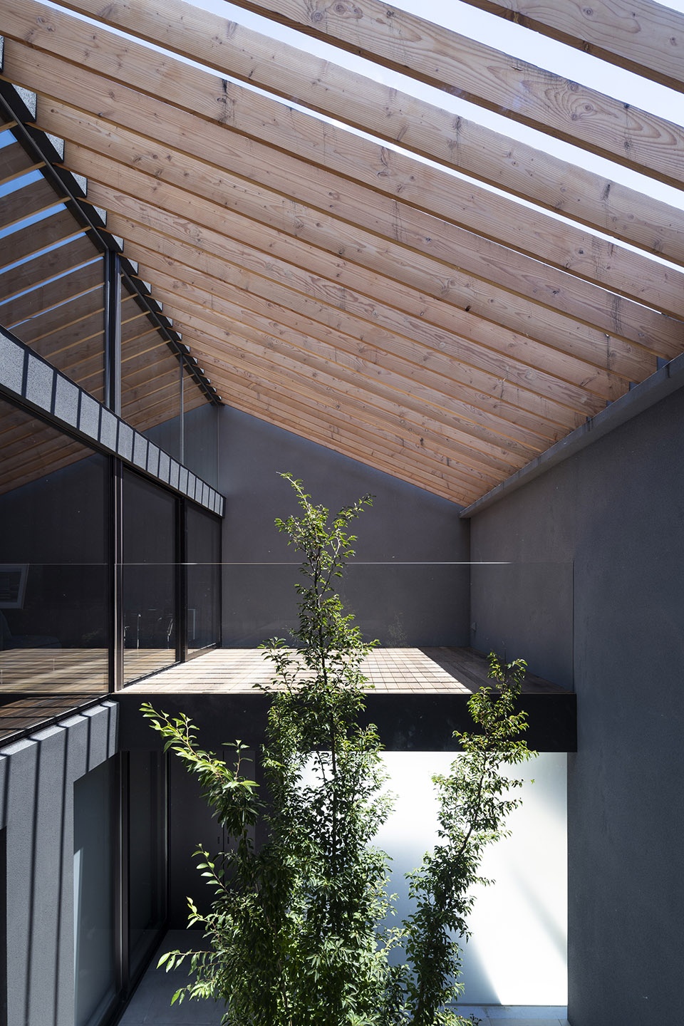 Leaf House by Apollo