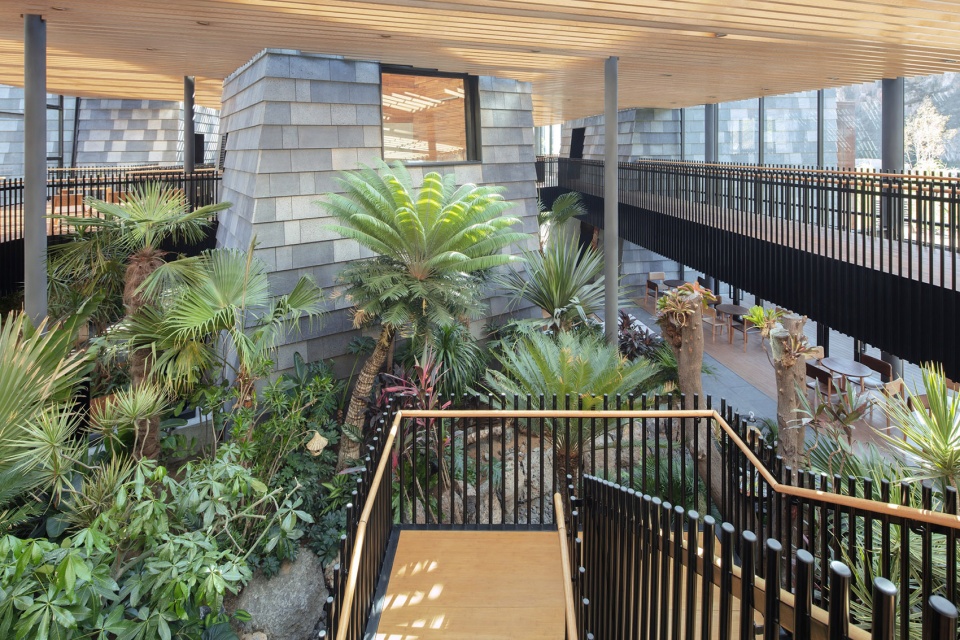 forest valley hot spring center china by blue architecture studio