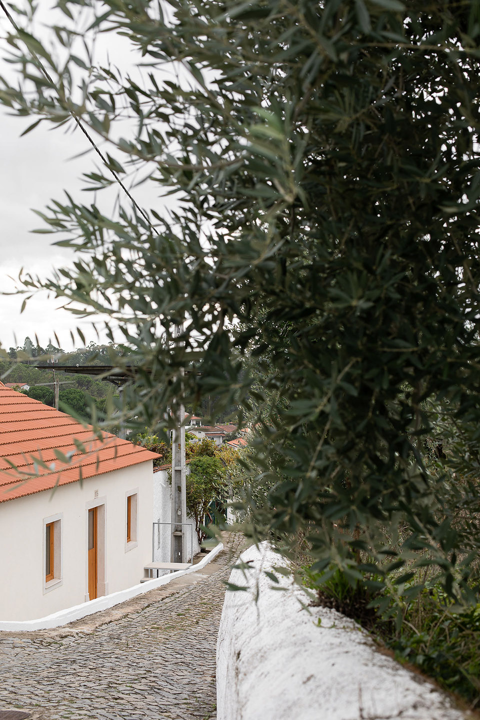 ti clara house by espaco p2
