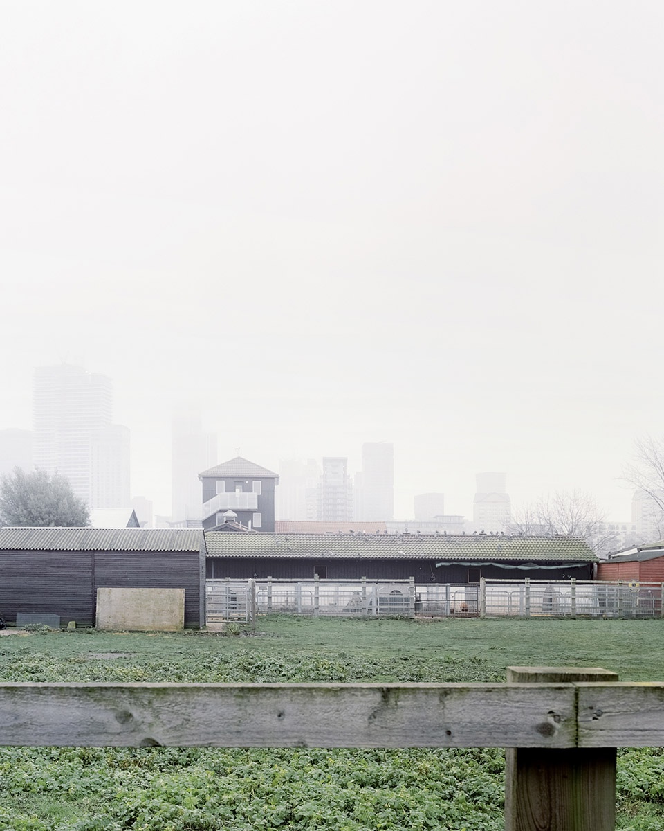 strategic refurbishment at surrey docks farm by pup architects