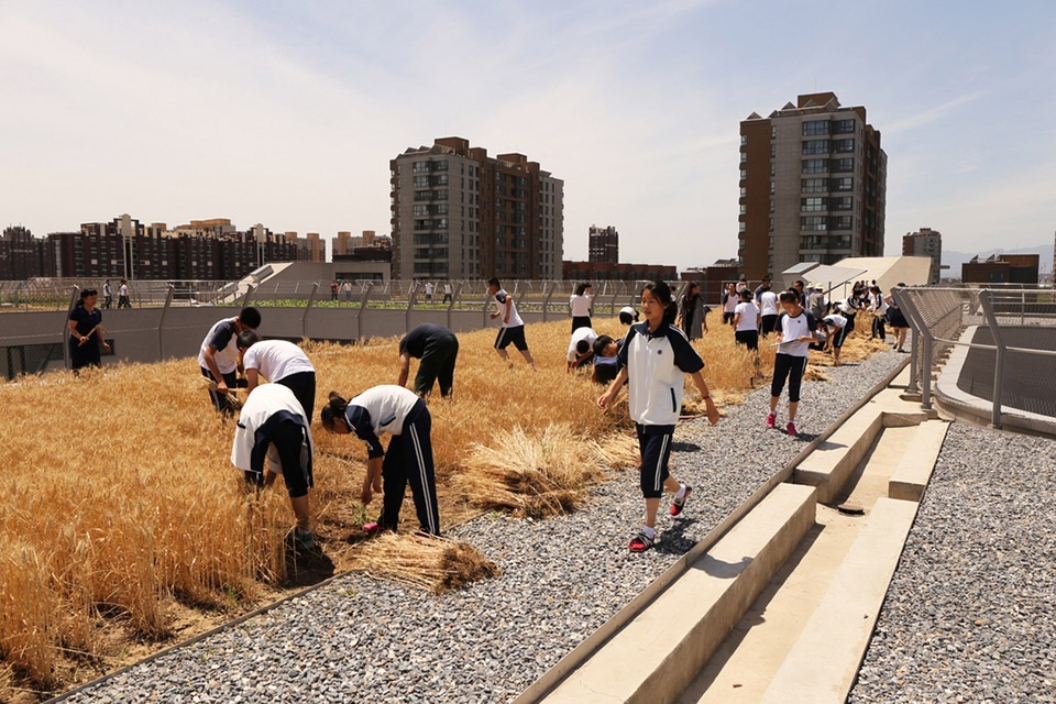 topic educational architecture in china