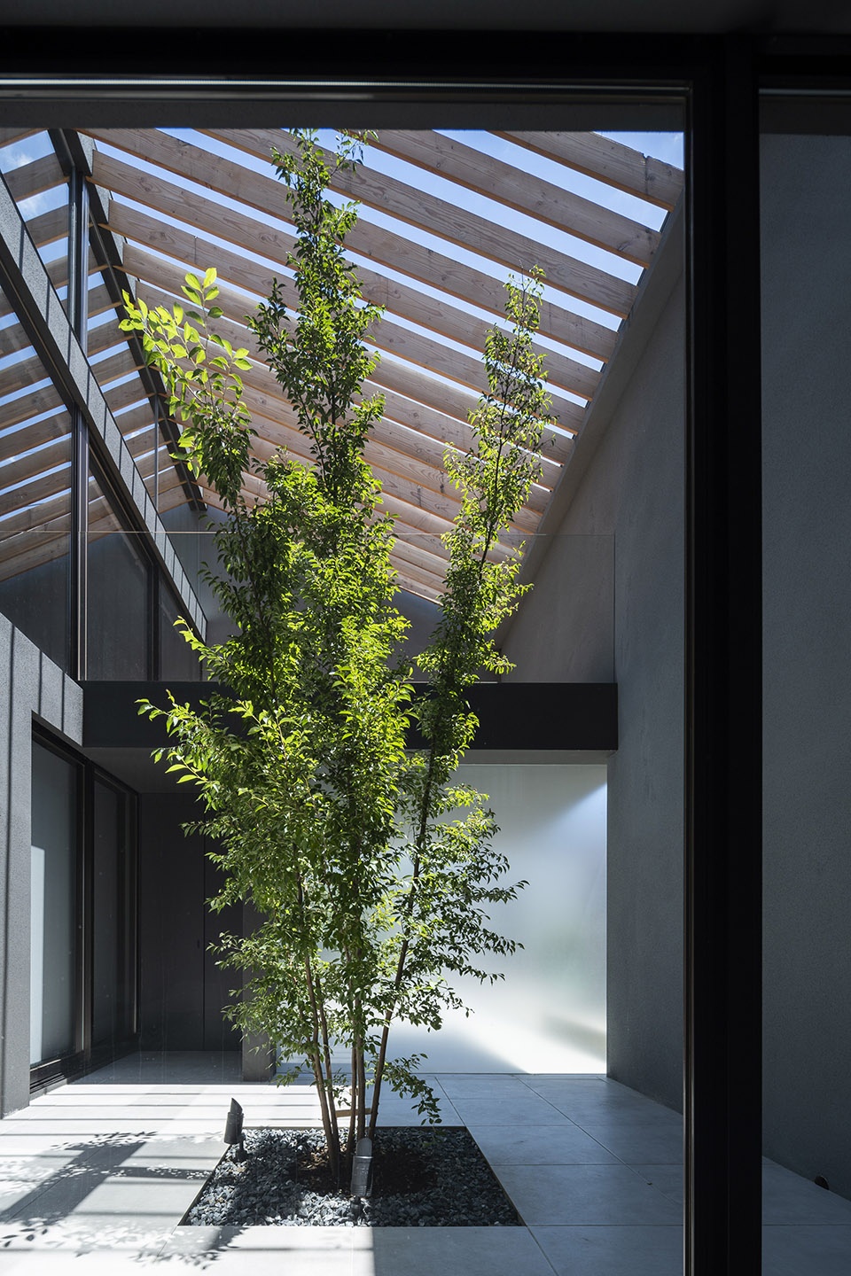 Leaf House by Apollo