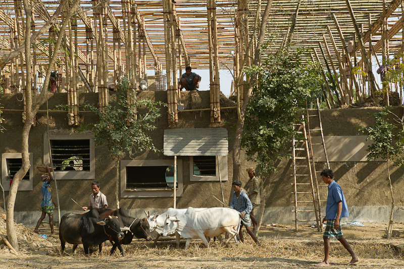 vector architects won the pisa biennial international award 2019