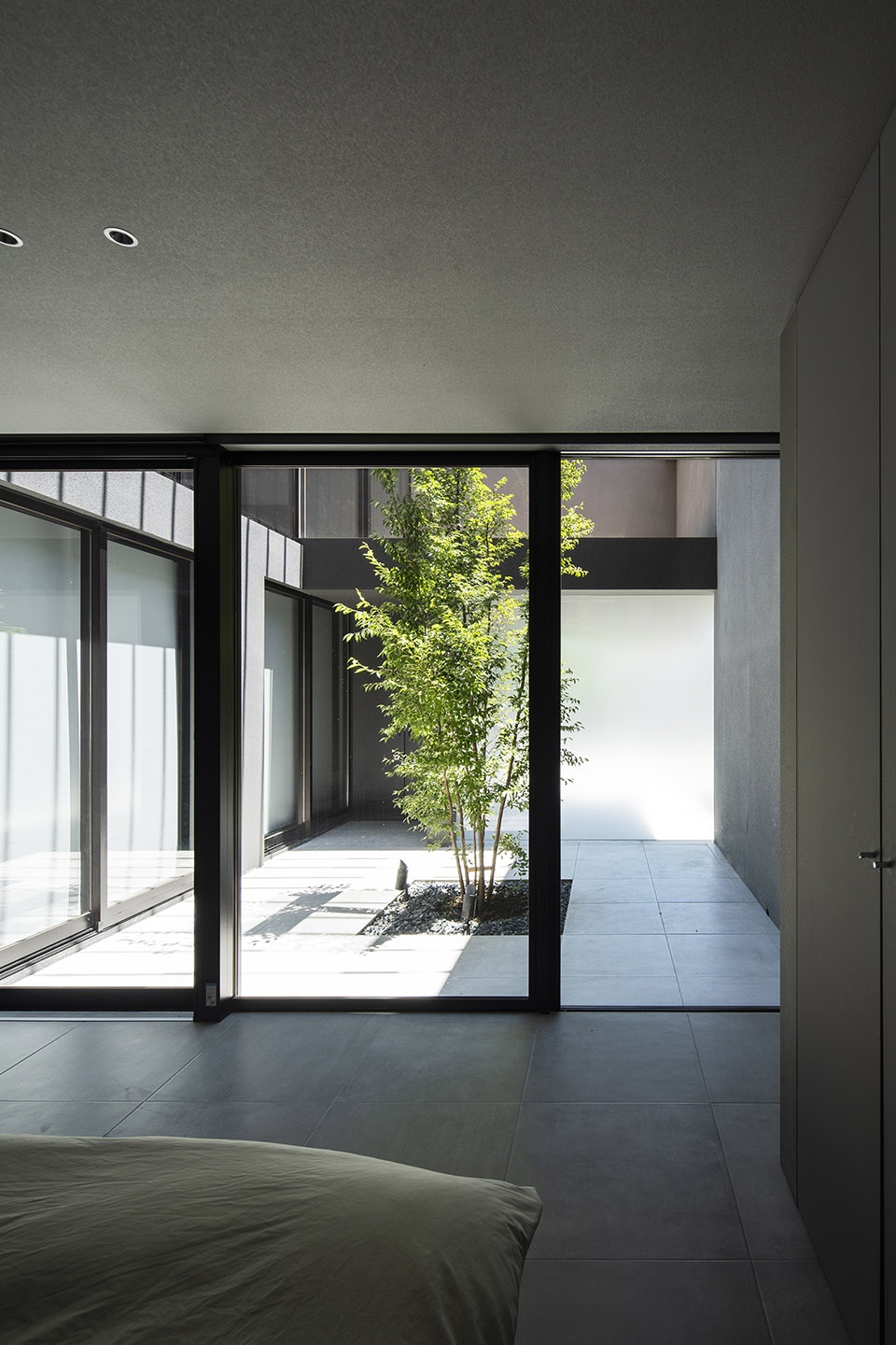 Leaf House by Apollo